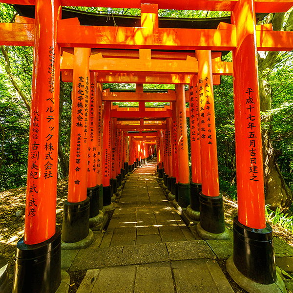 Japão - Tradição e Espiritualidade no Japão Essencial.